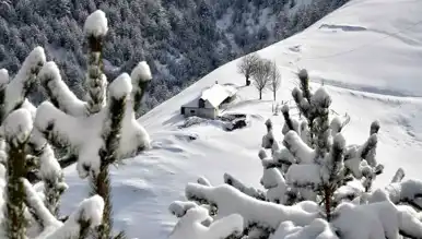 Zigana Dağı Beyaz Örtüyle Kaplandı!